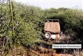 5686 leopard tracking Laikipia JF.jpg