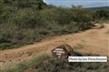 9038 Laikipia Wilderness Camp.jpg
