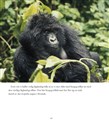 210314 Inlaga gorillaboken 40 sid J Fleischmann-10.jpg