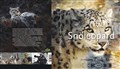 Snow leopard cover.jpg