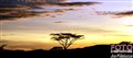 Serengeti sunset_JF2.jpg