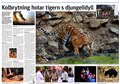 MT tiger djunglestory Tadoba.jpg