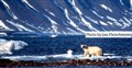 LR Svalbard Arktis_JF.jpg