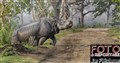 3046 Kaziranga rhino crossing JF.jpg